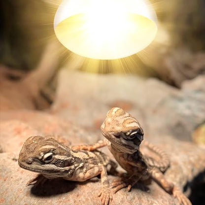160W Reptile Heat Lamp Bulb Full Spectrum UVA UVB Sun Lamp | Basking Light for Bearded Dragon, Mercury Vapor Bulb for Reptiles and Amphibians - size: 160W