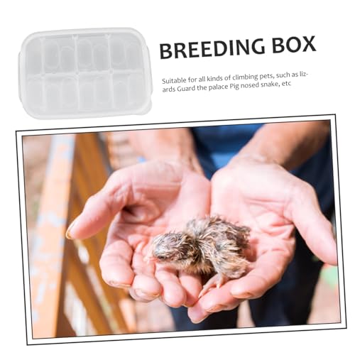 Happyyami 1pack Compartments for Hatching Lizards Geckos and Turtles Lightweight and Easy to Clean Breeding Box for Reptile Eggs - color: White
