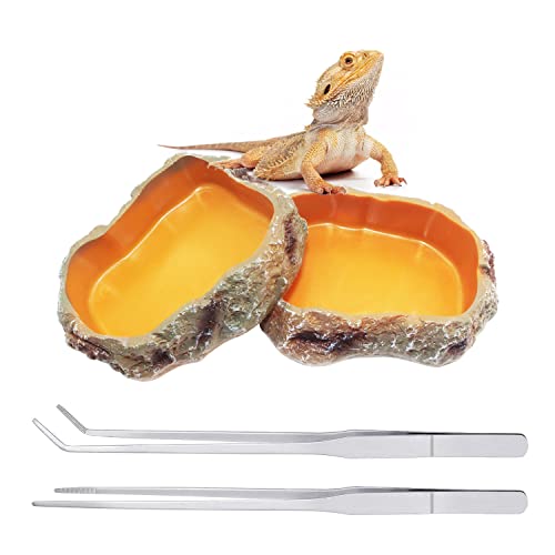 Reptile Growth Reptile Bowl Set Includes Reptile Food Dish,Reptile Water Dish,Reptile Feeding Tongs,Long Tweezers for Terrarium,for Leopard Gecko,Frog,Bearded Dragon,Snake,Tortoise,Hermit Crab