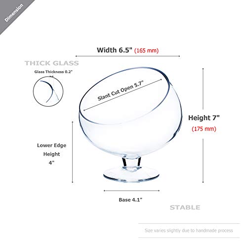 WGV Slant Cut Bowl Glass Vase with Stand, Width 6.5", Height 7", Clear Planter Terrarium, Candy Dish, Fruit Jar for Wedding Party Event, Home Office Decor, 1 Piece - size: Pedestal 7"H
