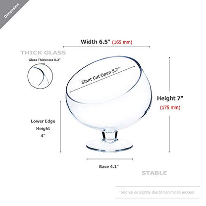 WGV Slant Cut Bowl Glass Vase with Stand, Width 6.5", Height 7", Clear Planter Terrarium, Candy Dish, Fruit Jar for Wedding Party Event, Home Office Decor, 1 Piece - size: Pedestal 7"H