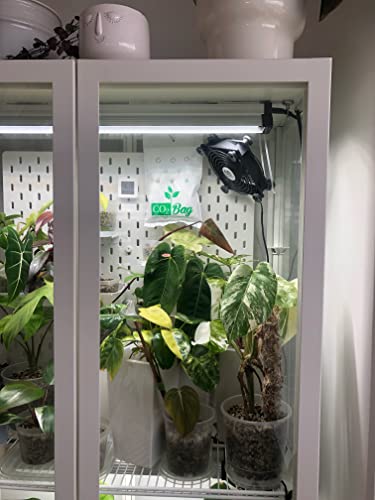 CO2BAG® M 2-Pack - Natural CO2 Generator for Grow Tents & Greenhouses | Value Bundle for Double Coverage | Boosts Plant Growth, Yield & Harvest Speed | Organic Hydroponic Supplement | Maintenance-Free - size: Medium, 2-Pack