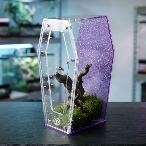 Glitter Acrylic Coffin Jumping Spider Enclosure - Gothic Terrarium Habitat with Magnetic Lid, Micro Reptile Breeding Box for Slings, Mantis, Isopods and Small Insects (Glitter Purple) - color: Glitter Purple