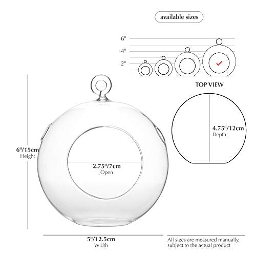 WGV Hanging Terrarium Globe, Width 5", Height 6", DIY Air Succulent Planter, Clear Glass Vase Orb with Flat Bottom, Candle Holder for Windowsill Outdoor Garden Decor, 1 Piece - size: 5" Flat Bottom