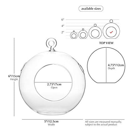WGV Hanging Terrarium Globe, Width 5", Height 6", DIY Air Succulent Planter, Clear Glass Vase Orb with Flat Bottom, Candle Holder for Windowsill Outdoor Garden Decor, 1 Piece - size: 5" Flat Bottom