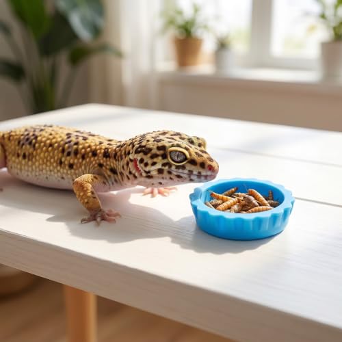 14 PCS Crested Gecko Food and Water Bowl, Gecko Feeding Bowls | Reusable Silicone Reptile Feeding Dish, Crested Gecko Tank Accessories for Tortoise Lizard Bearded Dragon Hermit Crab