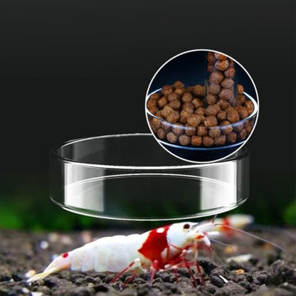 2Pcs Round Transparent Acrylic Fish Tank Feeder Dish with Suction Cups Clear Aquarium Shrimp Feeder Dishes Food Tray Container (60MM)