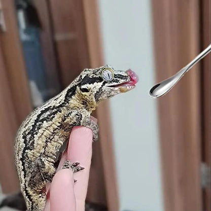2Pcs Crested Gecko Feeding Spoon, Reptile Powder Food Mixing Spoon | Food Grade Mini Spatula, Soft Tip for Powder Fruit Mixing, Fits Gecko Lizard Bearded Dragon Reptile - size: 0.5 Ounce (Pack of 2)