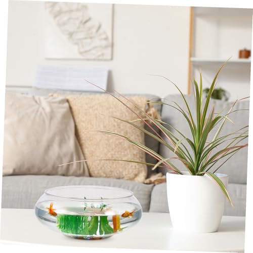 ibasenice 2Pcs Transparent Small Fish Tank Durable Aquarium for Goldfish Turtle and Small Reptiles Home Decor and Fish Breeding Box Capacity