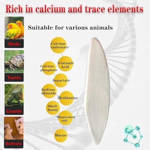 3.9-4.5'' Cuttlebone for Parakeets Cuttlebone for Birds - 100% Natural Cuttlefish Bone Bulk Chew Toy Bird Bites Calcium Stone for Canaries Tortoises,Snails,Reptiles,Parrots,Cockatiel-30PCS - size: 30PCS
