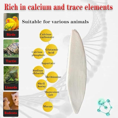 3.9-4.5'' Cuttlebone for Parakeets Cuttlebone for Birds - 100% Natural Cuttlefish Bone Bulk Chew Toy Bird Bites Calcium Stone for Canaries Tortoises,Snails,Reptiles,Parrots,Cockatiel-30PCS - size: 30PCS