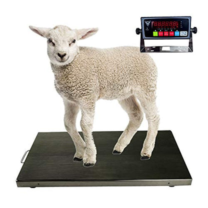 PEC Livestock Animal Scale/Farm Animal Scales for Weighing Small to Medium Sized Animals, Lamb, Goat, Sheep, Pigs, hogs, Donkey, Calf, Digital Indicator Included, Capacity 700lbs (38″ x 20″) - style: 38"x 20"
