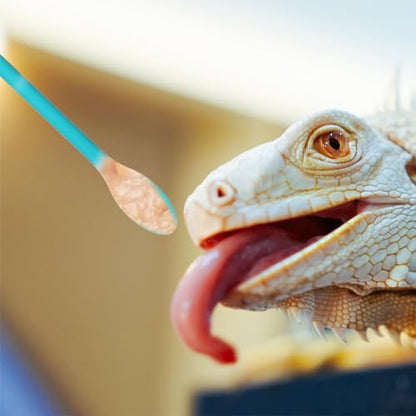 2 Pcs Reptile Spoon, Crested Gecko Food Mixing Spoon Long Handle Feeding Tool Crested Gecko Tank Accessories for Lizard Gargoyle Bearded Dragon