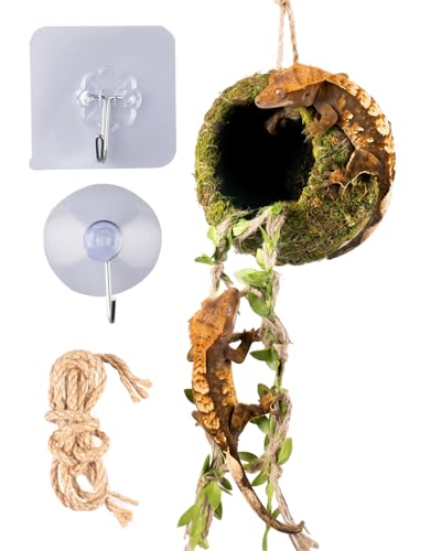 Reptile Hide with Hanging Climbing Ladder – Handmade Crested Gecko Tank Accessories, Hide for Crested Gecko, Hermit Crab, and Small Reptiles