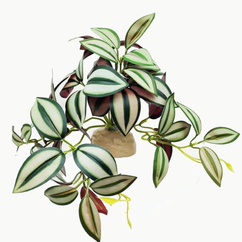 Fake Plants for Reptiles,Artificial Plants for Terrarium Decor | Amphibian Habitat Decor,Fake Reptile Plants for bearded dragon Gecko Lizard Snake Tortoise with Base,Enclosure Accessories - color: Zebrina