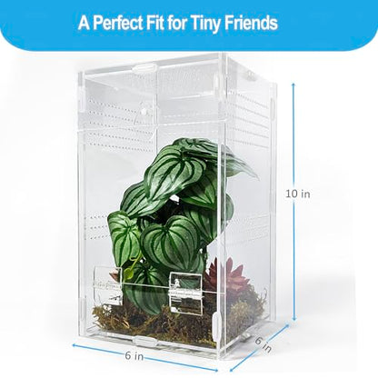 Jumping Spider Enclosure 6”x6”x10”, Arboreal Tarantula Enclosure, Praying Mantis Terrarium Critter Cage for Jumping Spider, Tarantula, Mantis, Snail, Isopods, Beetles, Millipedes - size: Large