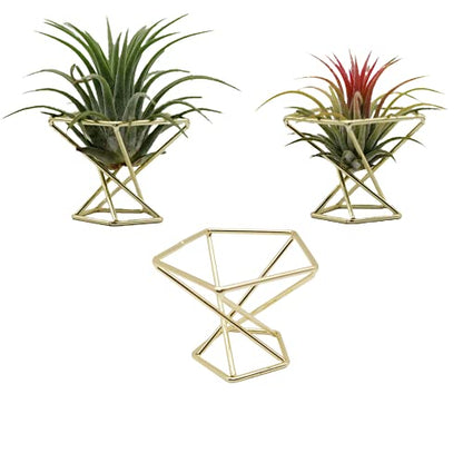 Geometric Air Plant Holder Airplants Rack Metal Plants Stand Planter Shelves Himmeli Living Decor Tillandsia Pot Containers (Gold 3pcs)