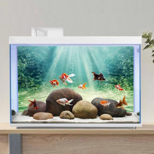 AWERT 72x16 inches Aquarium Background Aquatic Plant Bubble Underwater Ocean Floor Fish Tank Background - size: 72x16in/180x40cm