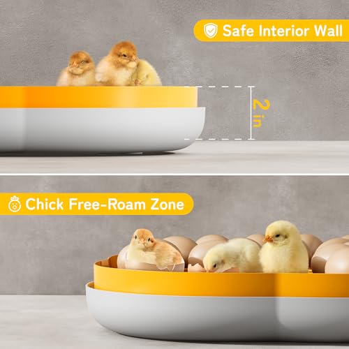 25 Egg Incubators for Hatching Eggs, Auto Turning, Temp & Humidity Control | Auto Water Refill, Auto Egg Turning, Turning Timer, Incubation Timer, Built-in Egg Candler & Protective Wall Design - color: Yellow, size: 25 Eggs
