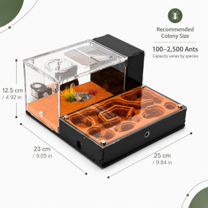 Terra Core Series Hybrid Formicarium Ant Nest, Vertical & Flat Chamber Design with Hydration System, Expandable Habitat & Starter Kit