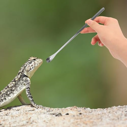 POPETPOP Sturdy Stainless Steel Feeding Spoon Small Pet Food Scoops for Gecko Lizard - color: As Shown