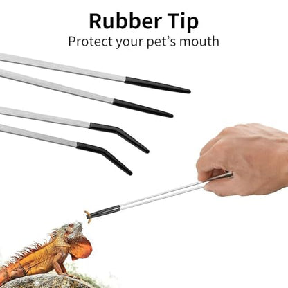 3PCS Stainless Steel Reptile Feeding Tongs with Rubber Tip,10.6” Straight&Curved Long Aquarium or Craft Tweezers,Bearded Dragon Reptile Gecko Frog Snakes Tank Enclosure Accessories (Tweezers&Spoon)