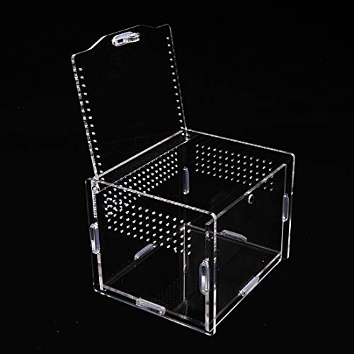 Acrylic Reptile Feeding Box,Reptile Terrarium Transparent Breeding Box Tarantula Enclosure with 2 Straight and Curved Tweezer for Pet Insect Spider Cricket Snail Hermit Crab Lizard,7.9x4.7x4.7inch