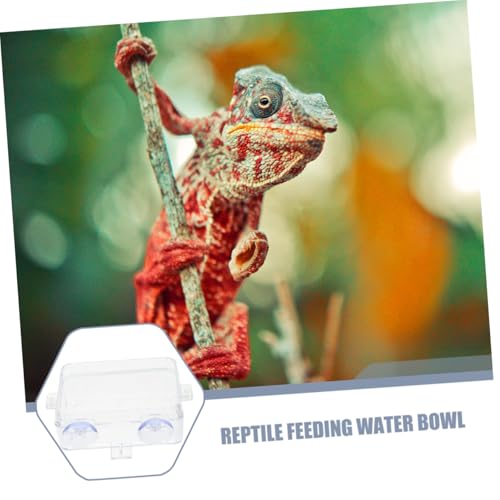 TOYANDONA Reptile Feeding Ledge Reptile Tongs Feeding Suction Cup Food Bowl Insect Water Feeder Bearded Dragon Food Dish