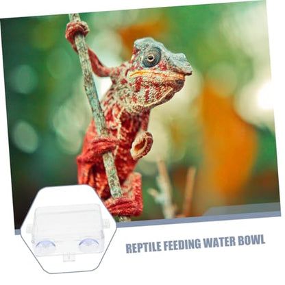 TOYANDONA Reptile Feeding Ledge Reptile Tongs Feeding Suction Cup Food Bowl Insect Water Feeder Bearded Dragon Food Dish