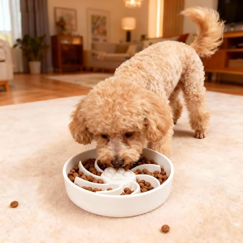 Ceramic Slow Feeder Dog Bowl, 3 Cup Dog Food or 25oz Water, Slow Eating Bowl for Middle Breed, Maze Puzzle Feeder for Fast Eaters, Anti-Choking Stop Bloat, Non-Slip BPA Free (White) - color: White