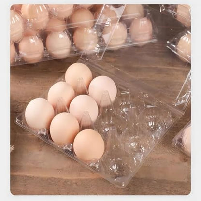 40 Pack 12-Egg Cartons Plastic Clear 3X4 Grids Reusable Storage Container, Stackable Cheap Bulk 1/2 Dozen Egg Trays for Refrigerator/Farms/Camping/Travel