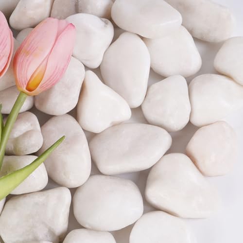 10 lbs White River Rocks, 1-2 inch Polished Decorative Stones,Suitable for Indoor and Outdoor Landscape Design, Gardens, Courtyards, Fish Tank Aquariums, Vases, Trail Decoration and DIY Decoration - color: White, size: 1-2 Inch 10 LB