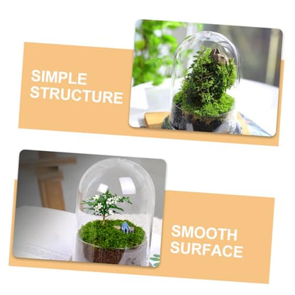 POPETPOP Glass Ecosystem Bottle Air Plant Holder DIY Bell Jar Terrarium Kit Decorative Plant Pot Drainage