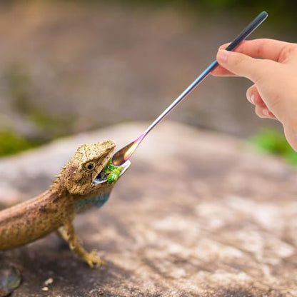 NOLITOY Pet Feeding Spoon Set Small Reptile Food Scoop Lizard Food Spoon Stainless Steel Easy to Lightweight for Tortoise Lizard Pack of 3 - color: As Shown 1