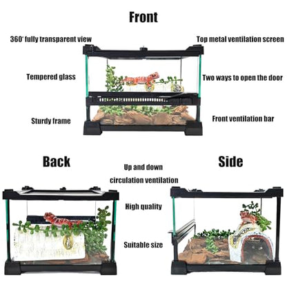 Woyrise Reptile Glass Terrarium Tank 8"x8"x5.7", Front & Top Opening Door Full View Visually Appealing Mini Reptiles or Amphibians Habitat, Stackable Enclousure for Small Reptiles