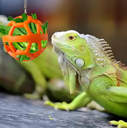 5PCS Bearded Dragon Enrichment Toys Feeder Ball, Interactive Feed Toys,Bells Exercise Ball for Lizard Gecko Reptile Animals,Reptile Tank Accessories