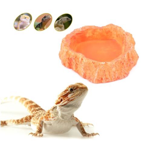 LIOOBO Crawling Food Dish for Lizards Reptile Feeder Odorless Reptile Supplies Water Storage Basin Pet Food Container Lizard Tank Accessories