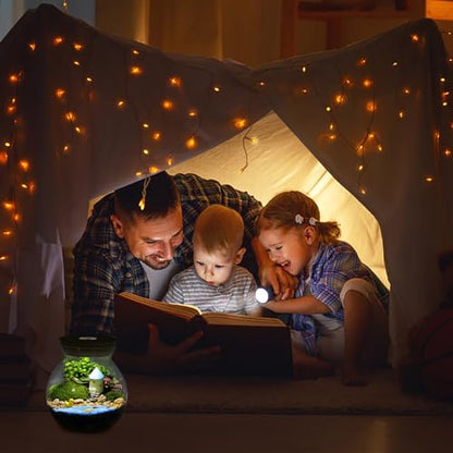 Glass Terrarium Jar with Led Light, Closed Terrarium Jar with Lid for Moss, Succulents and Betta Fish Tank, Large Clear Round Desk Plant Container Ecosystem for Home & Office Decor (no Plants) - size: 10.50X10.00X10.00CM