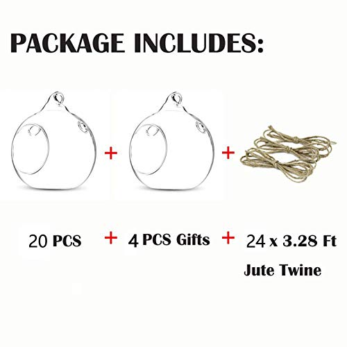 NUPTIO Hanging Glass Terrarium Globes with 2 Holes, 24 Pcs, 3.15 Inch | Clear Votive Orbs, for Air Plants, Tealights, Home or Garden Decor - size: 24 Pcs
