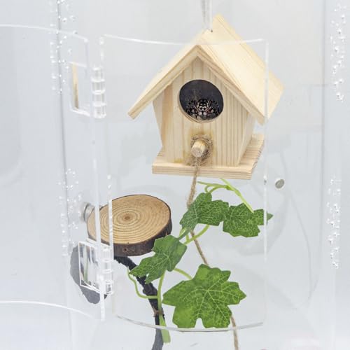 Jumping Spider Enclosure Accessories, Little Hanging Wooden House with Magnet and Climbing Rope, Jumping Spider Hide, Hideout for Small Animals