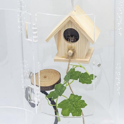 Jumping Spider Enclosure Accessories, Little Hanging Wooden House with Magnet and Climbing Rope, Jumping Spider Hide, Hideout for Small Animals