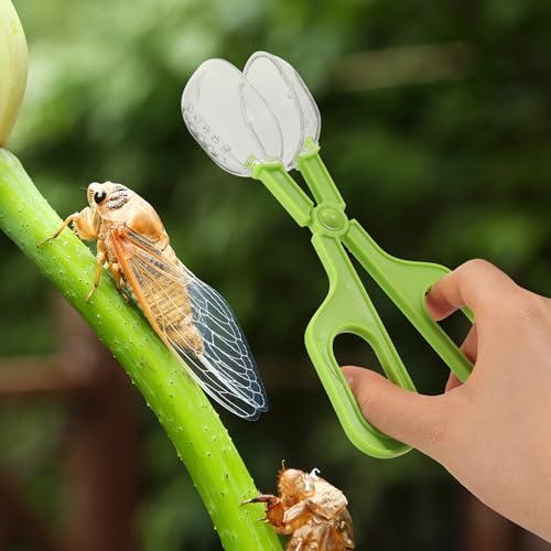 3pcs Reptile Feeding Clamps: Reptile Poop Scoop - Lizard Feeding and Cleaning Tool - Plastic Scoop for Tortoise Lizard Frog and Other Small Animals