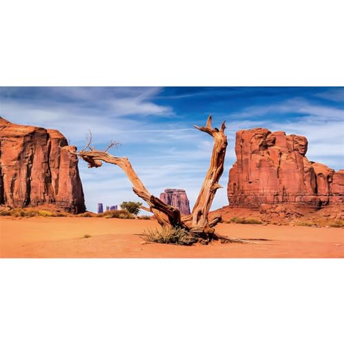 AWERT 72x24 inches Reptile Habitat Background Sky Oasis Mountain Cactus Sun and Desert Terrarium Background Polyester Background - size: 72x24in/180x60cm