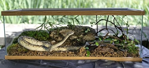 Galápagos (05020) Tropicoco® Husk Bedding for Reptiles, Amphibians, & Terrariums High Absorbency, Eco-Friendly, Dust-Free Perfect for Water Dragons, Tortoises, Snakes, & More, 8QT Compressed Brick - size: 8 QT Compressed Brick