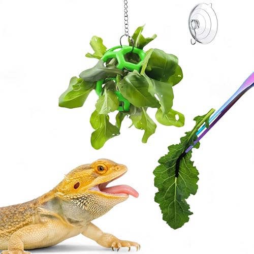 Bearded Dragon Enrichment Toys Feeding Tongs Accessories, Veggie Feeder Ball and Feeding Tongs with Rubber Tip, Greens Training Kit for Reptile Lizard Gecko, Reptile Tank Accessories (Green) - color: Green