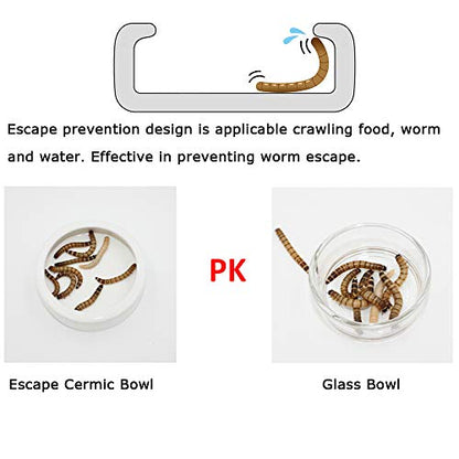 Tfwadmx 2 Pack Reptile Food Bowl, Mini Ceramic Water Feeder Bowl, Reptile Worm Feeding Dish for Lizard Turtle Bearded Dragon Anoles Crested Gecko Hermit Crab Leopard Gecko Chameleon Corn Snake - size: 1 Pc 2.7 '' x 0.8 ''