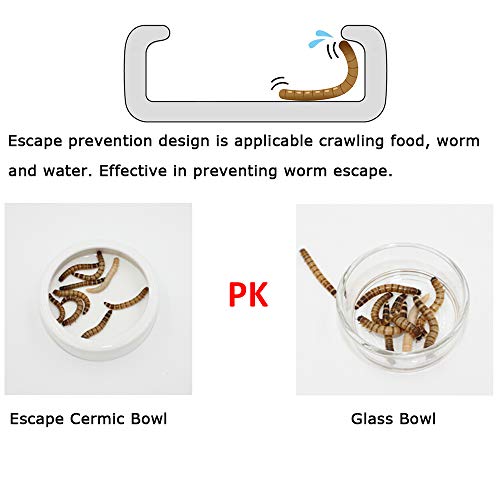 Tfwadmx 2 Pack Reptile Food Bowl, Mini Ceramic Water Feeder Bowl, Reptile Worm Feeding Dish for Lizard Turtle Bearded Dragon Anoles Crested Gecko Hermit Crab Leopard Gecko Chameleon Corn Snake - size: 1 Pc 2.7 '' x 0.8 ''