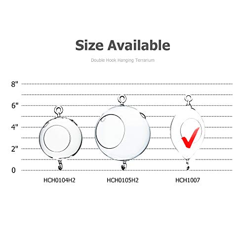 WGVI WGV Hanging Terrarium, Width 3.5", Height 7", Oblong, Double Hook, DIY Air Succulent Planter, Clear Glass Vase Orb, Candle Holder for Windowsill Outdoor Garden Decor, 1 Piece - size: 7" Oblong Double Hook