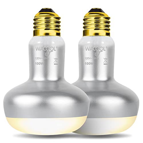 WACOOL 2 Pack 100W Reptile Heat Lamp Bulbs - Intense Basking Spot Lights for Bearded Dragons, Lizards, Turtles, Tortoises, Geckos - UVA Daylight Heat Lamp for Terrariums, Vivariums & Enclosures - style: 100W-2pack