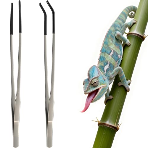 2 Pcs Extra Long Stainless Steel Reptile Feeding Tongs 10.6 IN with Soft Rubber Tip – Straight & Curved Tweezers for Bearded Dragon, Tank Accessories, Lizards, Terrarium, Aquarium, Leopard Gecko
